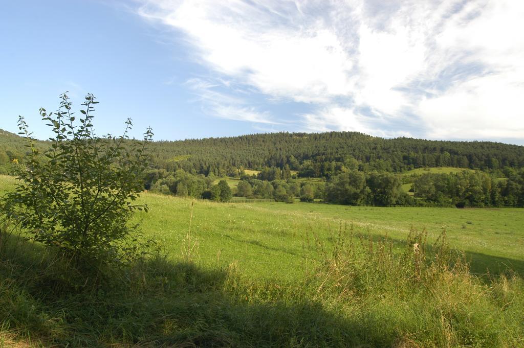 Reinsberger Dorf Apartment Plaue (Thuringia)